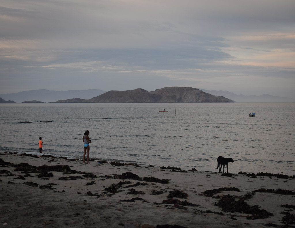 playa campo archelon