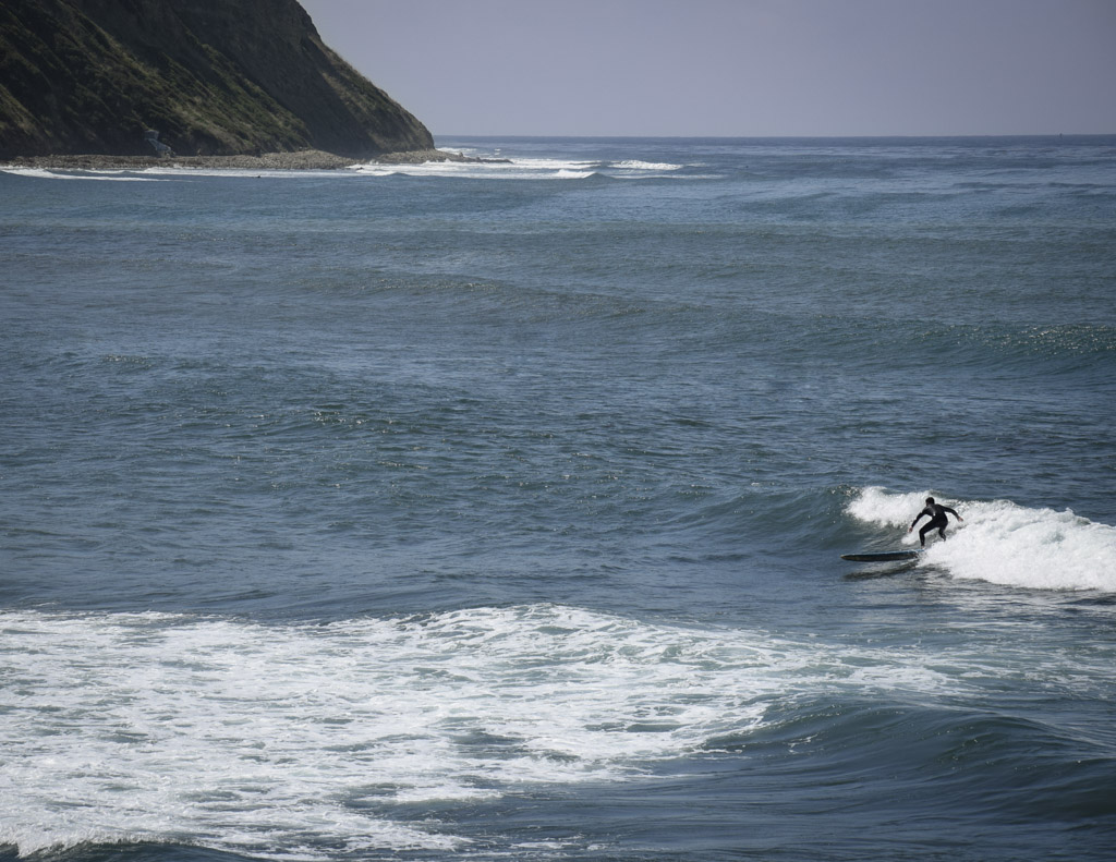 surfer à Palos Verdes Cove