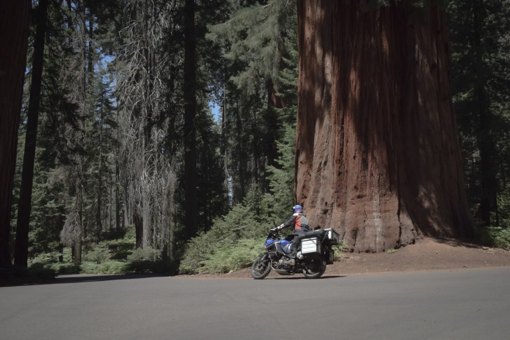 rouler entre sequoia et kings canyon