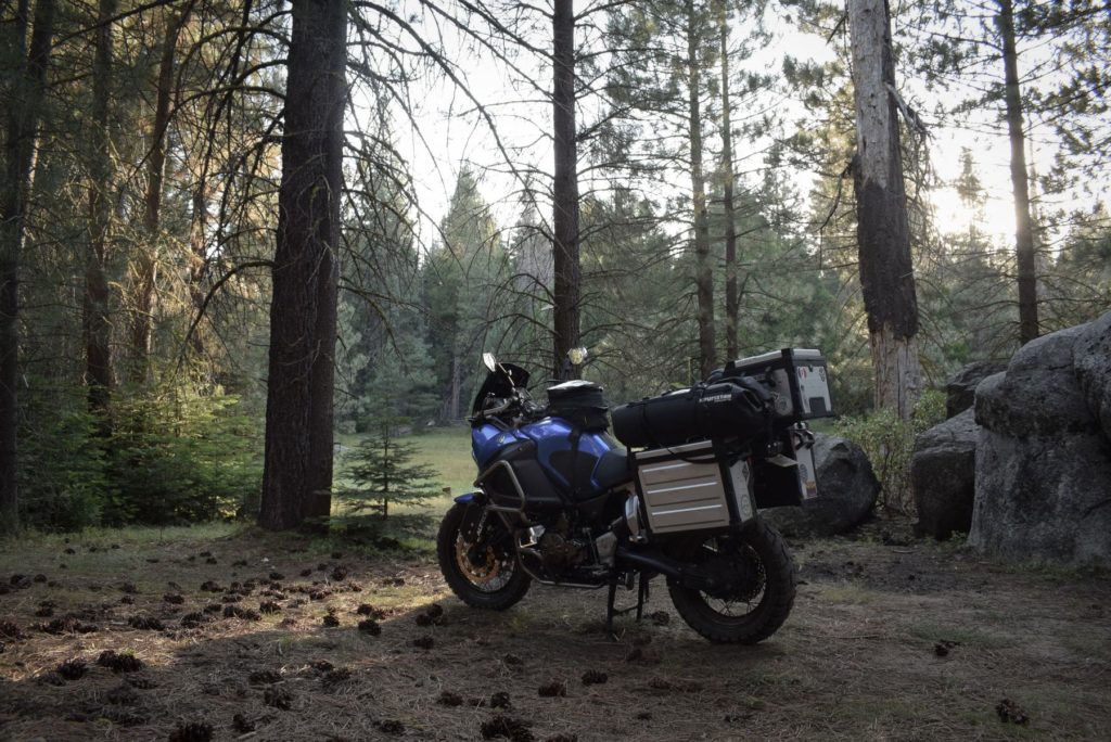 camping sauvage ou dispersed camping dans la forêt de sequoia