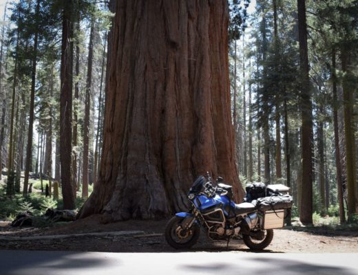 le parc national de Sequoia en Californie