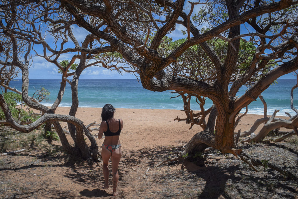 One Month One Ride à Donkey beach, Kauai