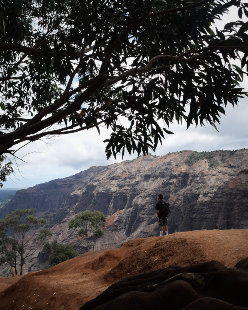 Waimea Canyon à Kauai