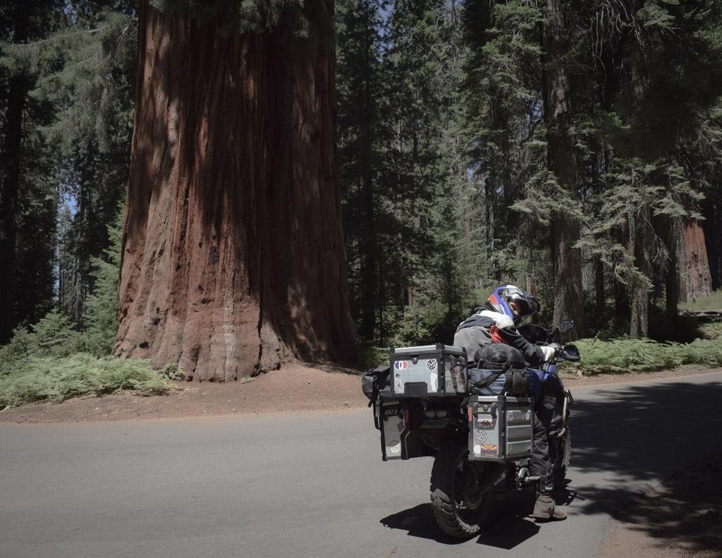 sequoia national parc à moto