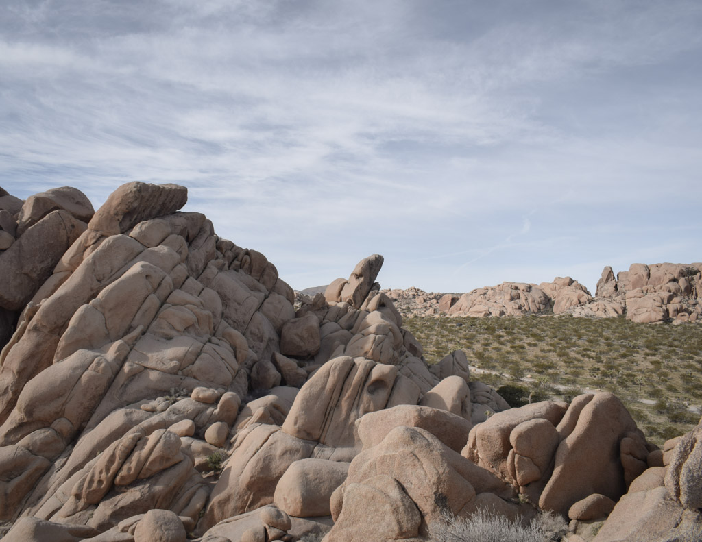 parc national de Joshua tree