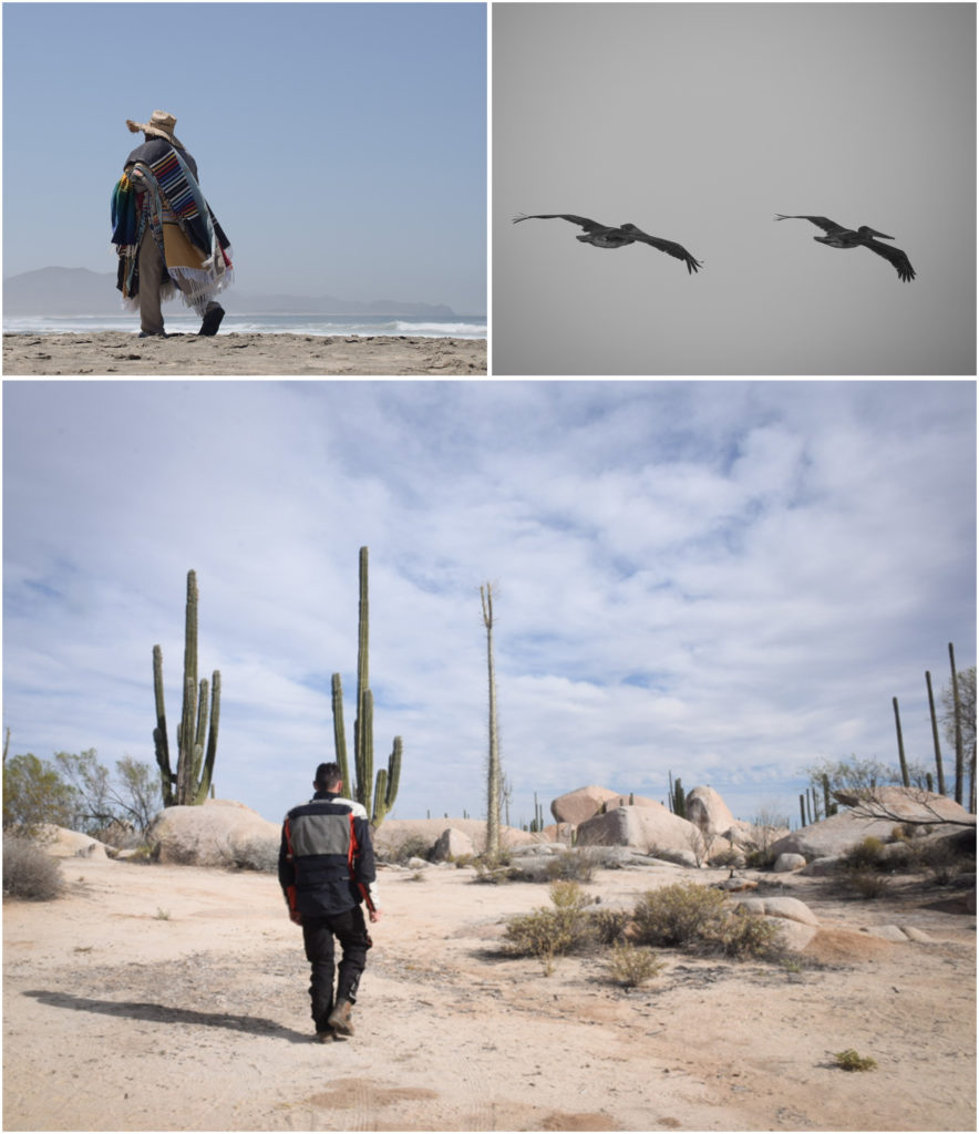 perdu dans le désert de Basse Californie