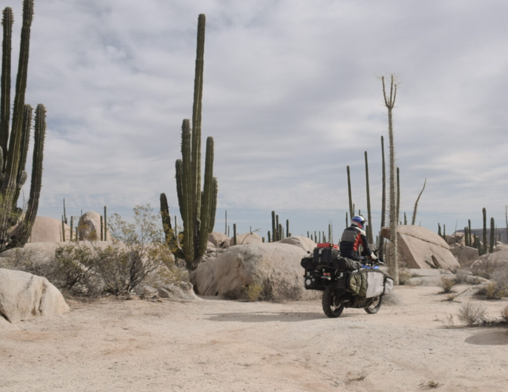 rouler à moto sous la canicule